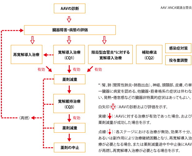 Anca 関連 血管 炎