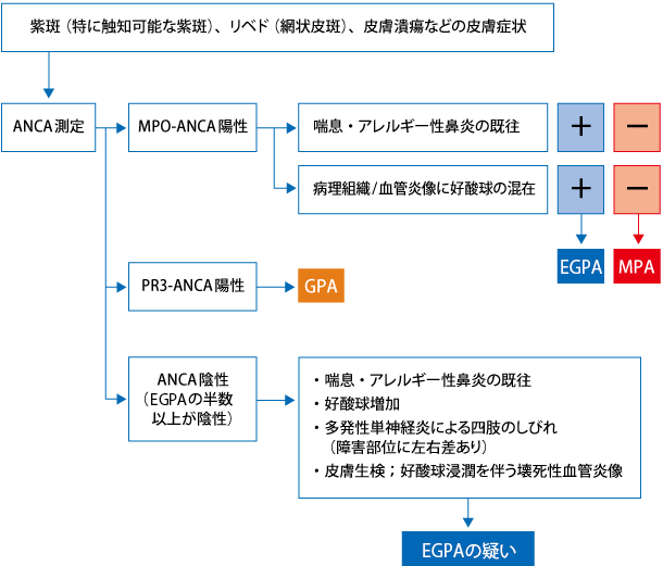 血管 anca 炎 関連 ANCA関連血管炎｜大阪大学大学院医学系研究科 呼吸器・免疫内科学